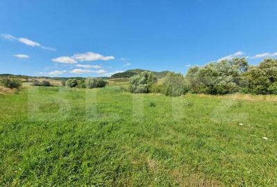 Teren intravilan, 31 de ari in Livezile - 1