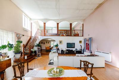 Casă individuală cu 7 camere cu Teren 1300 Mp în Săcălaz - 6