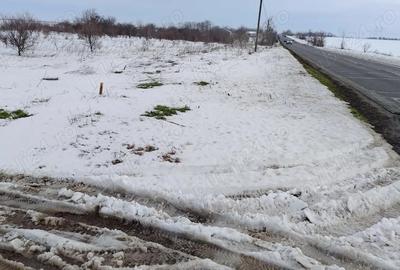 Spațiu comercial, în Pasărea - 3