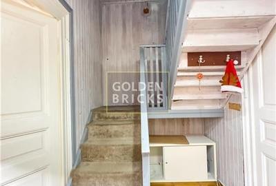 Pache Protopopescu | PROTV | Vizibilitate |  Curte 250 mp | Garaj - 19