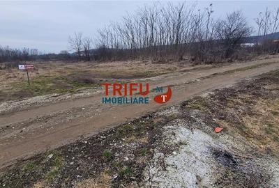 Teren de 1091 mp, în Cetate - 7