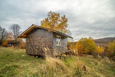 Cabanuta de lemn in mijlocul naturii - 7