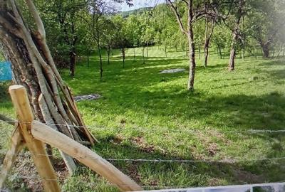 Teren Construcții extravilan de 4300 mp, în Brădetu - 1