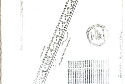 Spațiu comercial, în Bălăceanca - 3