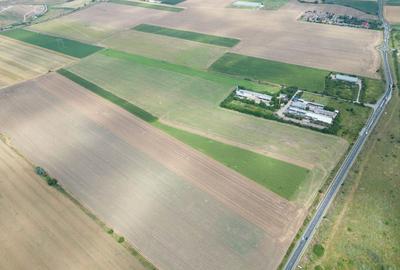 Teren extravilan 12.000 mp DN79 Arad-Oradea - 11