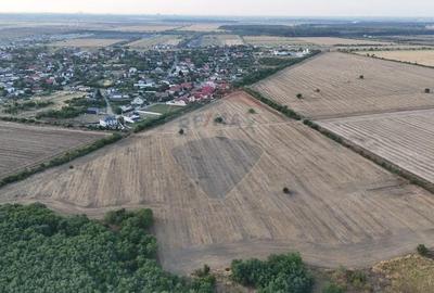 Teren de 40300 mp, în Tamași