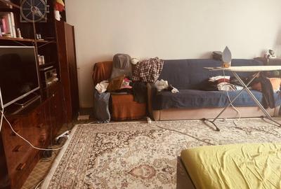 Garsoniera -Teiul Doamnei - 40 mp - 2