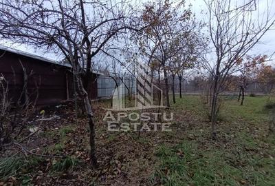 Casa alipita cu teren, necesita renovari, situata in zona Freidorf. - 6