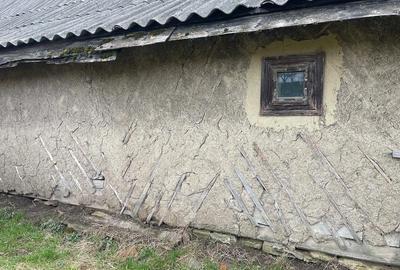 Casă în Cacica - 3