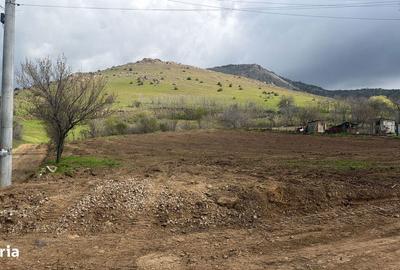 Teren de 1100 mp, în Greci - 5