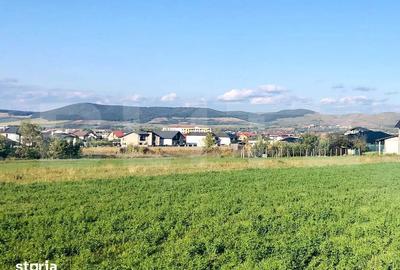 Teren de 600 mp, în Cetate - 4