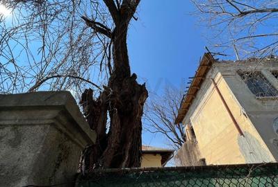 REV2005343 Oportunitate Investitie l Proprietate ideala pentru Dezvoltare - 8