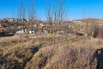 Teren 5800 mp, central Dezmir, panorama frumoasa, toate utilitatile. - 3