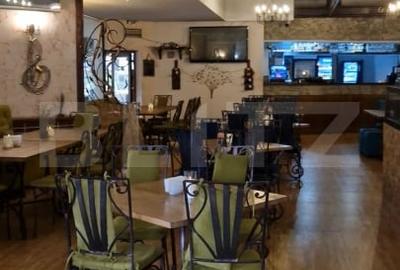 Restaurant de vanzare, 688 mp, zona Parcului Chindia - 5