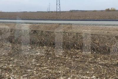 Teren de 80000 mp, în Șagului