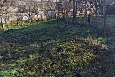 Casă individuală cu 3 camere cu Teren 738 Mp în Ohaba - 6