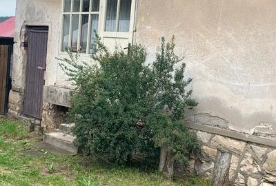 Casă cu 2 camere în Aghireșu - 2
