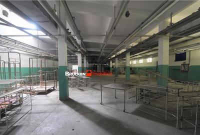 OPORTUNITATE INVESTITIONALA | HALA VASCAU - 14