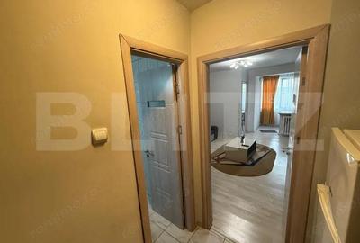 Garsonieră semidecomandată în Brazda lui Novac - 7