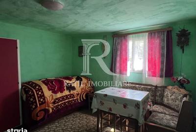 Casă cu 1 camere cu Teren 3000 Mp în Copăcel - 16