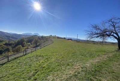 Spațiu comercial, în Central - 2