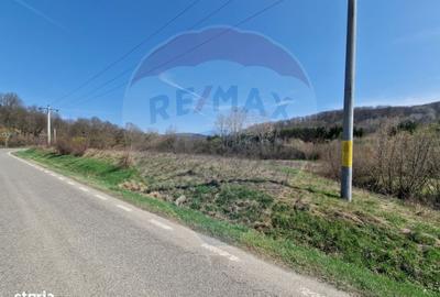 Spațiu comercial, în Podiș - 1