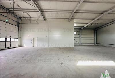Spațiu industrial, de 447 mp, în Rudeni - 18