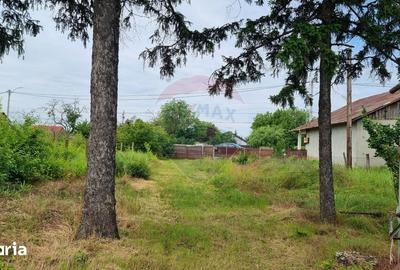 Teren de 2038 mp, în Snagov - 4