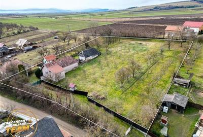 FILM! Oaza ta de liniste pe 0.5ha teren intravilan, Dalnic, Covasna - 21