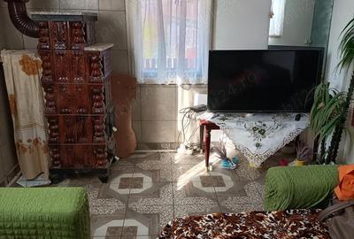 Casă cu Teren 2750 Mp în Vulpeni - 7