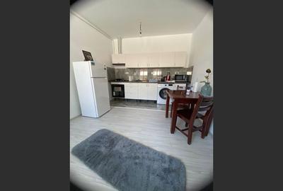 Constructie cu 3 apartamente + teren+ 2 spatii comerciale - 8