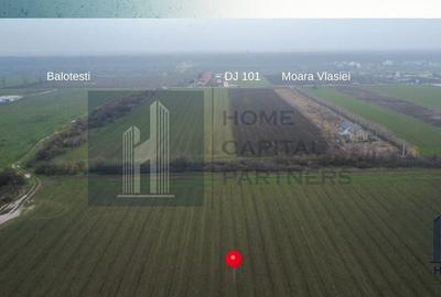 Teren de vanzare 10.000 mp | Căciulați, Moara Vlăsiei | Balotesti - 3