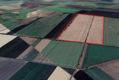 53,3 hectare teren agricol acces direct la DN709C loca?ie buna - 3