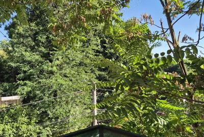 Apartament cu o camera de inchiriat in Turda, centru - 1