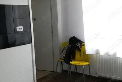 Inchiriez casa cu teren in Timi?oara in zona centrala - 7