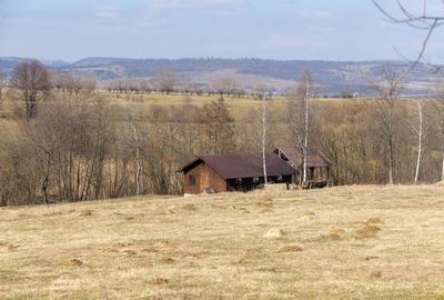 Teren Construcții intravilan de 5783 mp, în Bran - 11