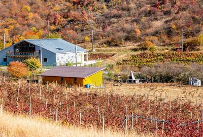 Oportunitate de investitie - Teren de vanzare I 4 ha I ce... - 3