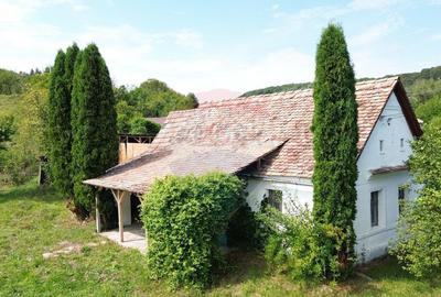 Casa de vacan?a in sat sasesc, Moarda? jude?u... - 2