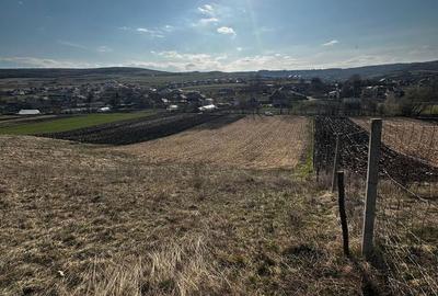 Teren de 9000 mp, în Baciu - 12