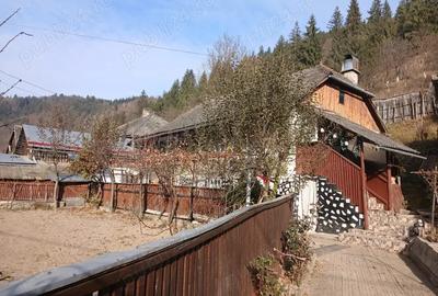 Casa cu teren generos de 1330 mp in Campeni, jud. Alba ideala pentru familie sau casa de vacan?a - 4