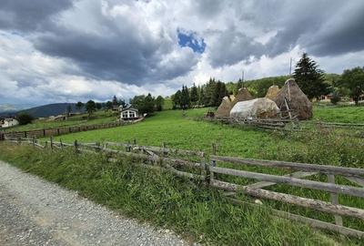 Teren intravilan 2470 mp cu vedere către munte! - 6