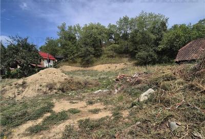 Teren intravilan pentru investitie turistica, 4000 mp, langa - 3