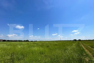 Teren Construcții intravilan de 4444 mp, în Aeroport - 4