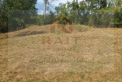 Teren agricol extravilan de 11740 mp, în Corbeni - 4