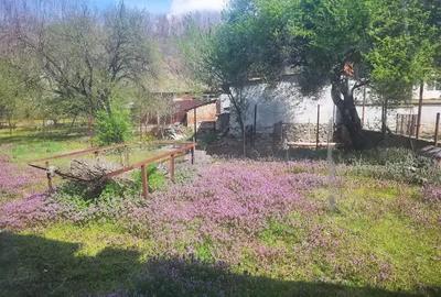 Spațiu comercial, de 750 mp, în Câlnic - 2