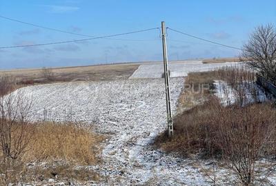 Teren agricol extravilan de 10800 mp, în Horlești - 1