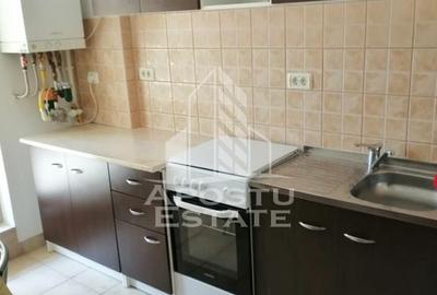 Apartament cu 2 camere decomandat, mobilat în Torontalului - 6
