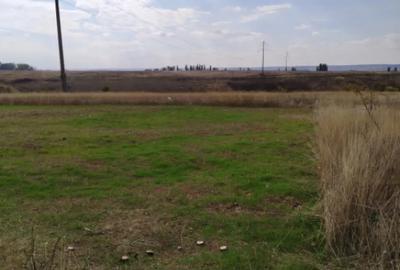 Teren de 800 mp, în Malu Mare - 3