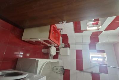 Garsonieră decomandată în Turnișor - 3