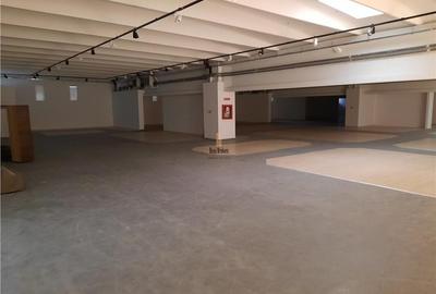 Spațiu comercial, de 1,000 mp, în Depozite - 3